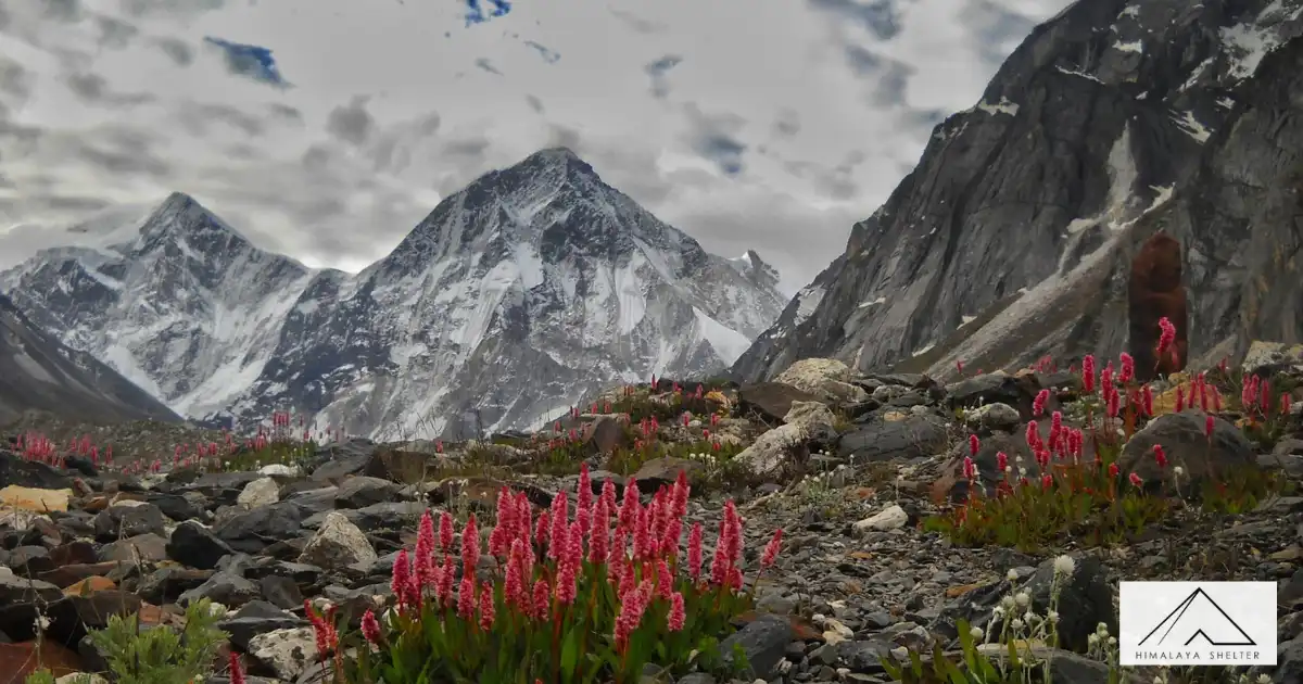 Chenap Valley Trek