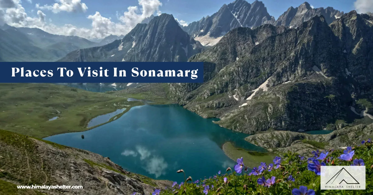 Places To Visit In Sonamarg: Explore meadow of gold