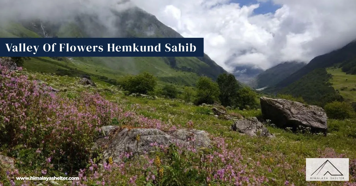 Valley Of Flowers Hemkund Sahib: A colorful pilgrimage