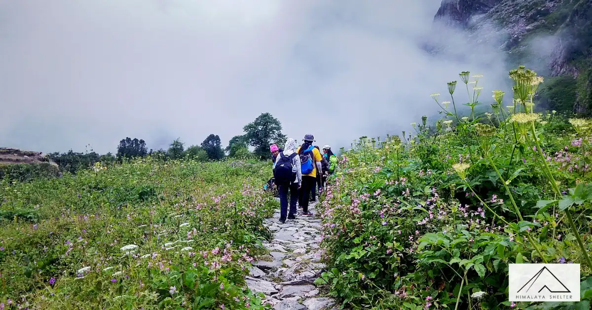 Trail Leading Towards Valley Of Flowers