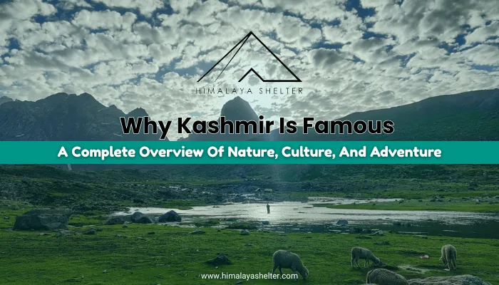 Why Kashmir Is Famous: A complete overview of nature, culture, and adventure