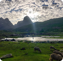 Kashmir Great Lakes Trek